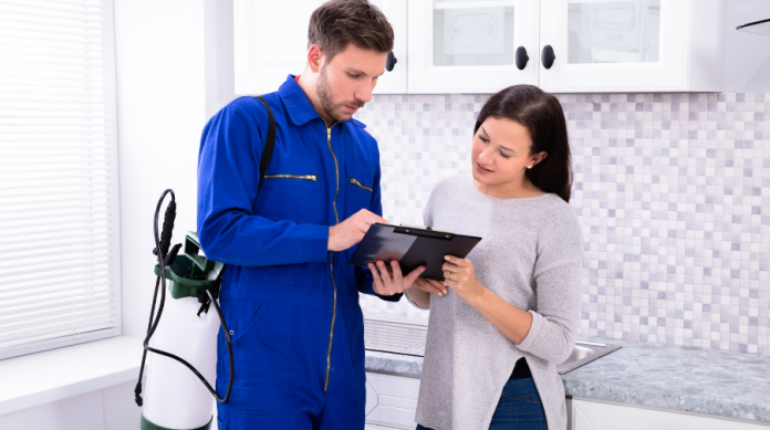 Things to Consider Before Hiring a Pest Control Company
