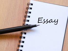 Beginners Guide To Write An Excellent Essay