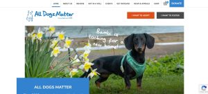 All Dogs Matter