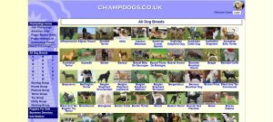 Champdogs