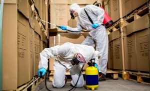 questions to ask with pest control company - How Long Have You Been In Business