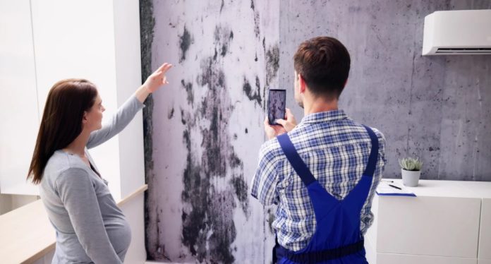 Difference Between Damage and Wear and Tear