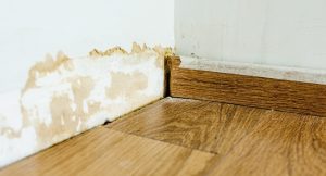 What Is Normal Wear and Tear