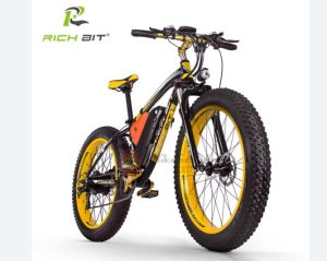 RICH BIT RT-012 – Best Compact Electric Bike