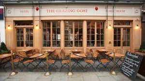 The Grazing Goat