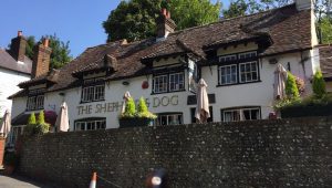 The Shepherd and Dog