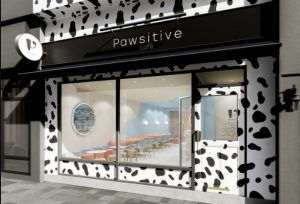 Pawsitive Café