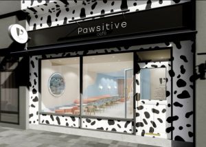 Pawsitive Café, Notting Hill