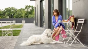 Why Are Dog-Friendly Cafes in London Essential for Pet Owners in 2025