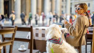 What Makes Dog Cafes in London So Popular