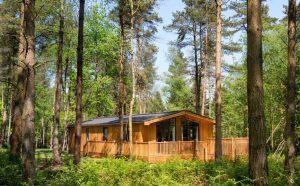 Darwin Forest Lodges &ndash; Derbyshire