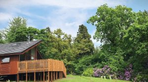 Forest Holidays &ndash; Beddgelert, Wales