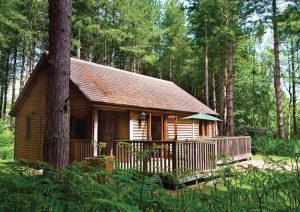 Griffon Forest – York