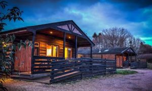 New Forest Eco Cabins &ndash; Hampshire