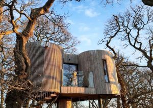 Treetop Hideaways, Dumfries & Galloway