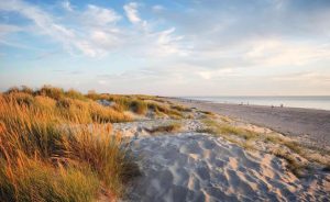 West Wittering – Chichester, West Sussex