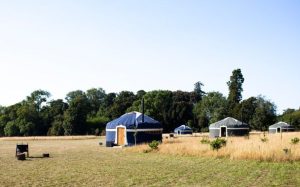 Wild Meadow Glamping, Fakenham