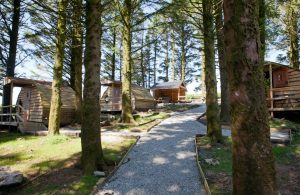 The Olde Woods Cabin, Bodmin Moor