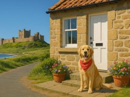 self-catering dog-friendly northumberland