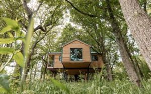 Ty Coed Treehouse, Llandeilo, Carmarthenshire