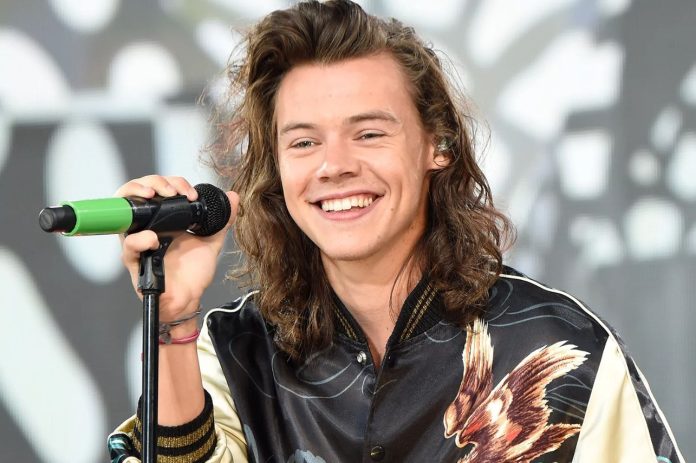 Harry Styles Net Worth Harry Styles Net Worth