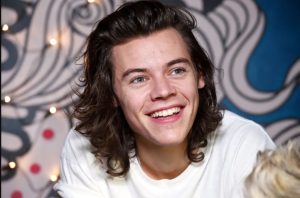 What Is Harry Styles Net Worth in 2026